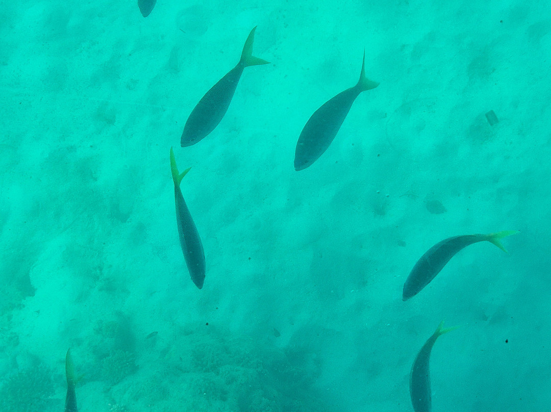 Great Adventures-绿岛必去景点