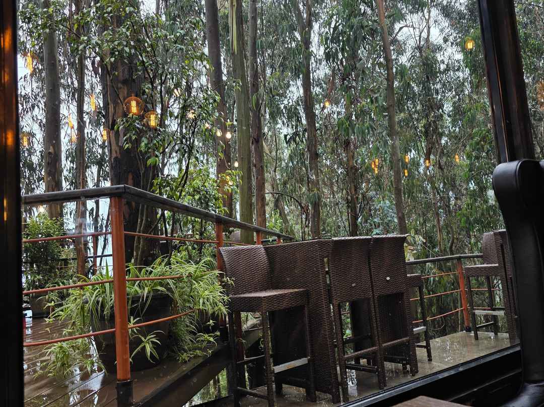Entoto Natural Park-亚的斯亚贝巴必去景点