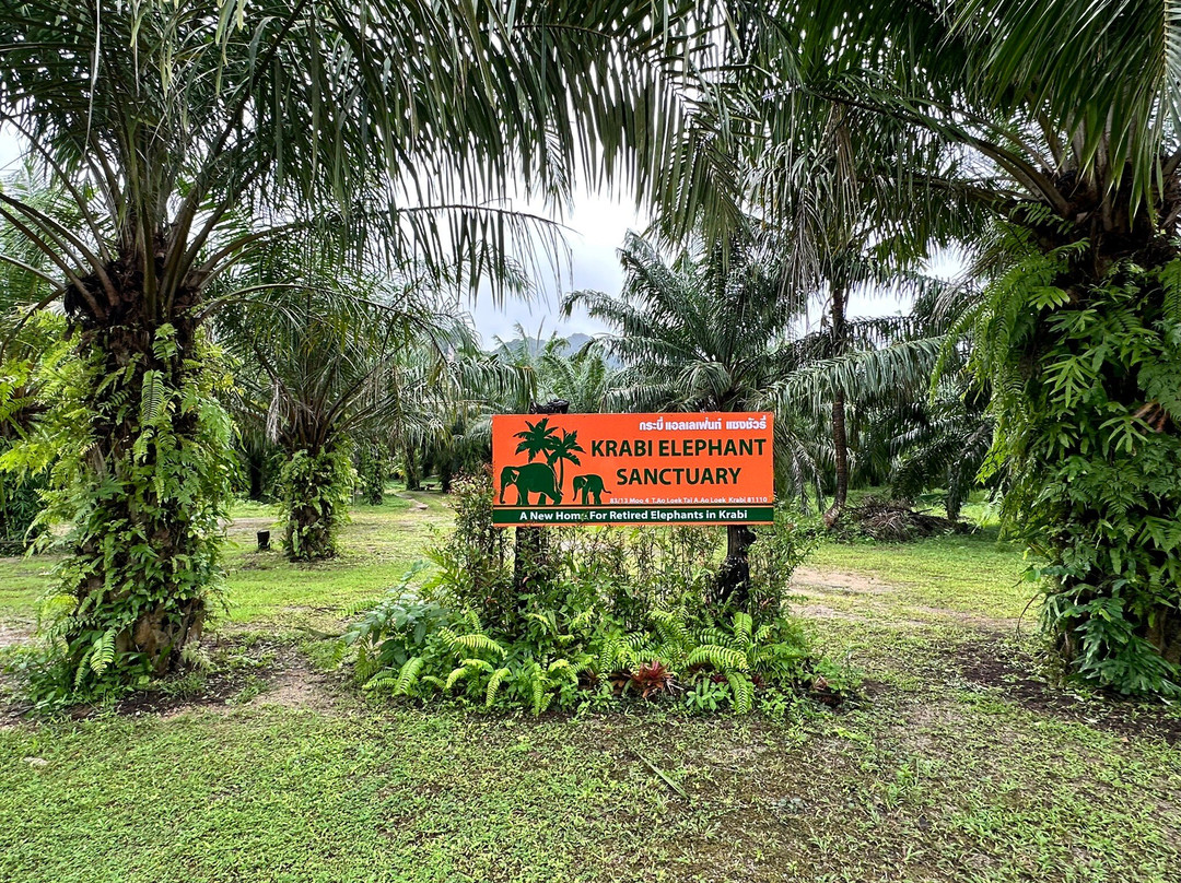 Krabi Elephant Sanctuary-甲米必去景点