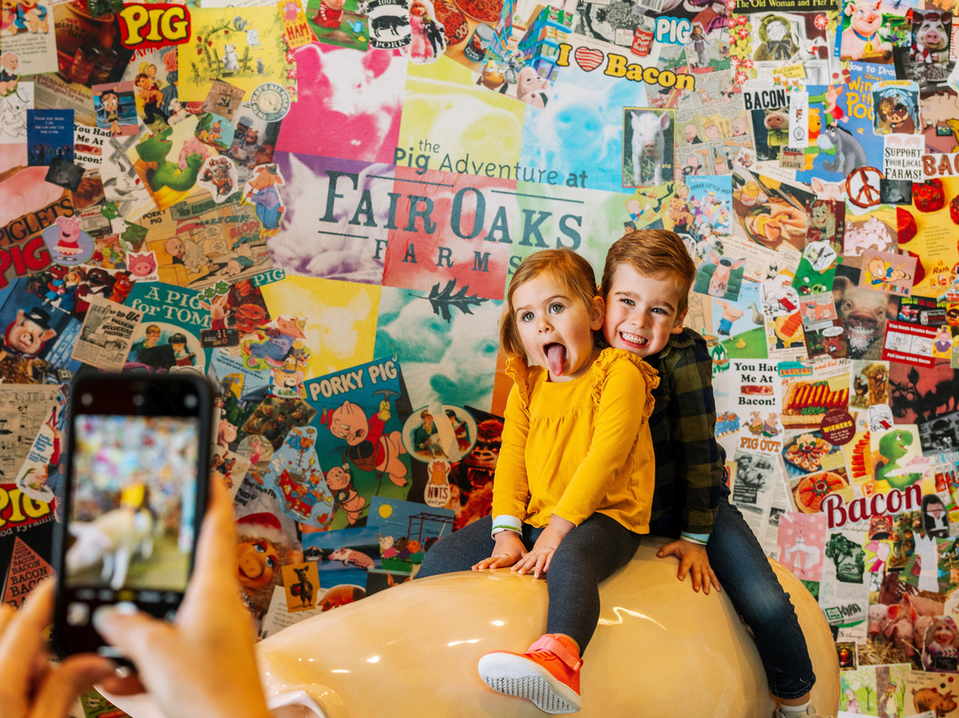 Fair Oaks Farms-Fair Oaks必去景点