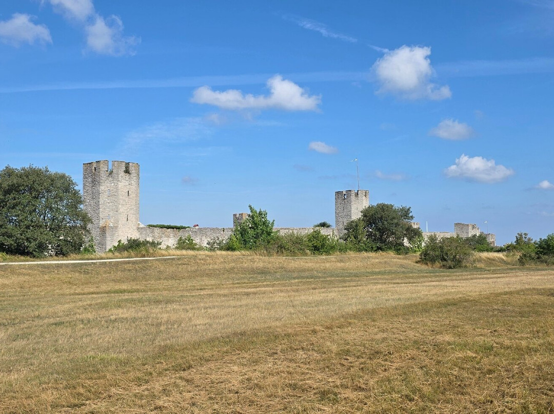 Visby City Wall-维斯比必去景点
