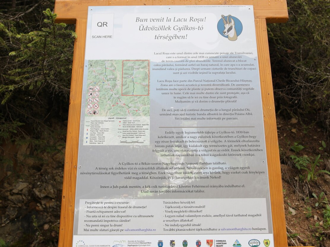 Parcul național Cheile Bicazului