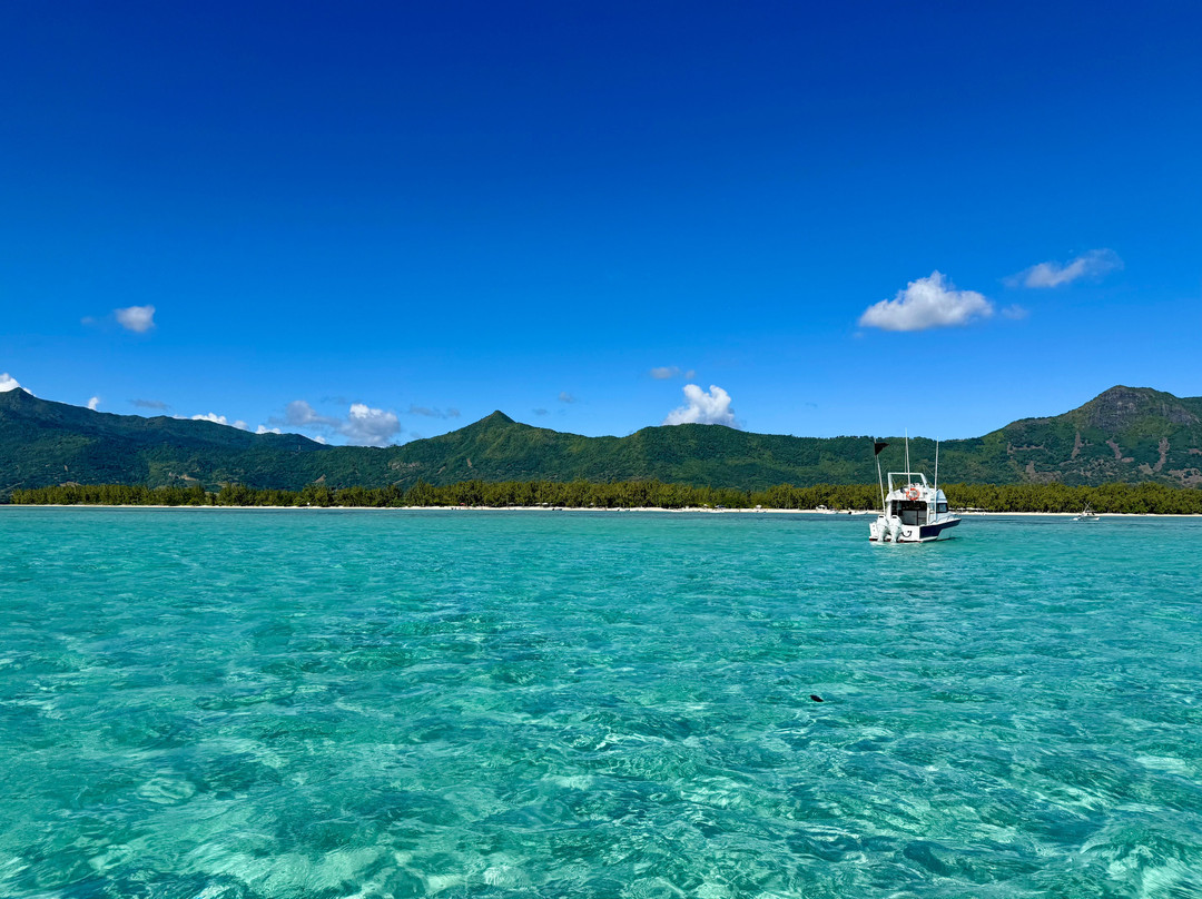 Fabulous View - Dodo Rasta-阿尔比恩必去景点