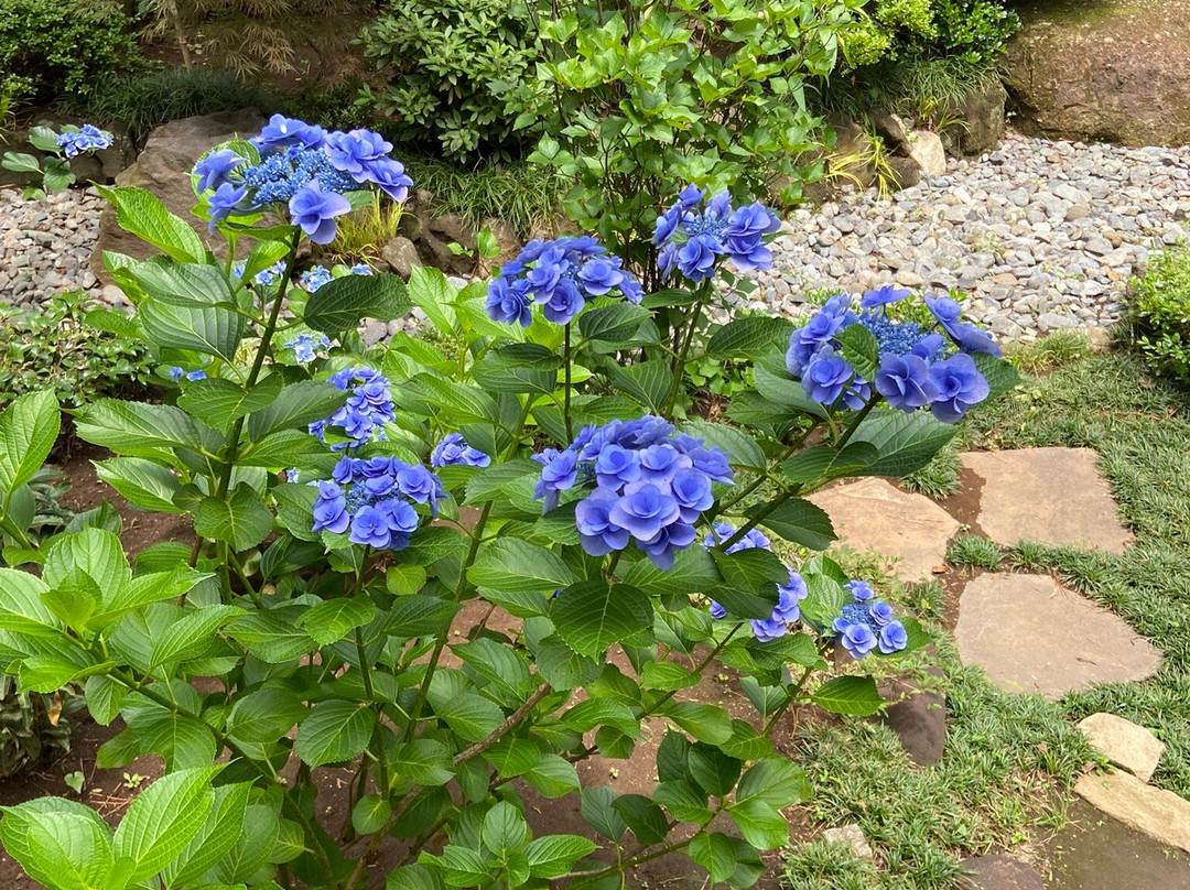 Ebara Hatakeyama Museum Of Art-Shirokanedai必去景点