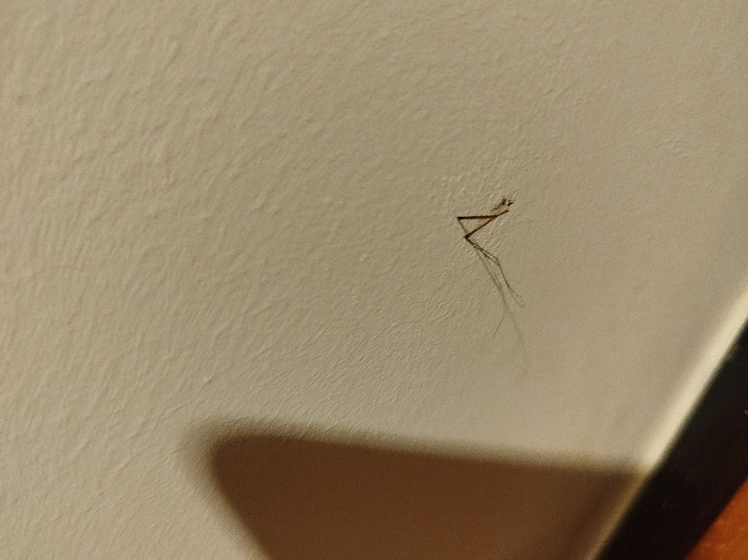 Van der Valk Hotel Gladbeck主图