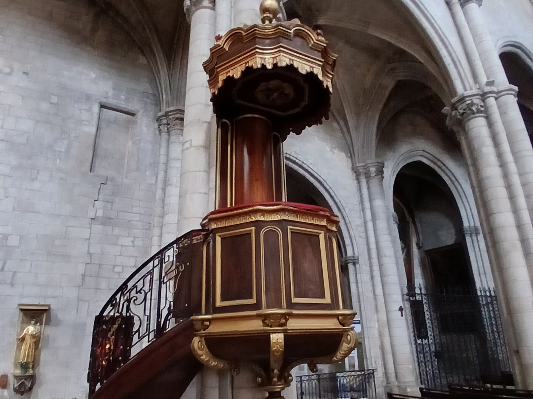 Église Sainte-Marthe de Tarascon-塔拉斯孔必去景点