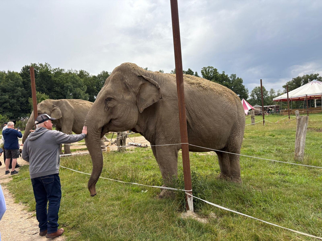 Elefantenhof Platschow-Platschow必去景点