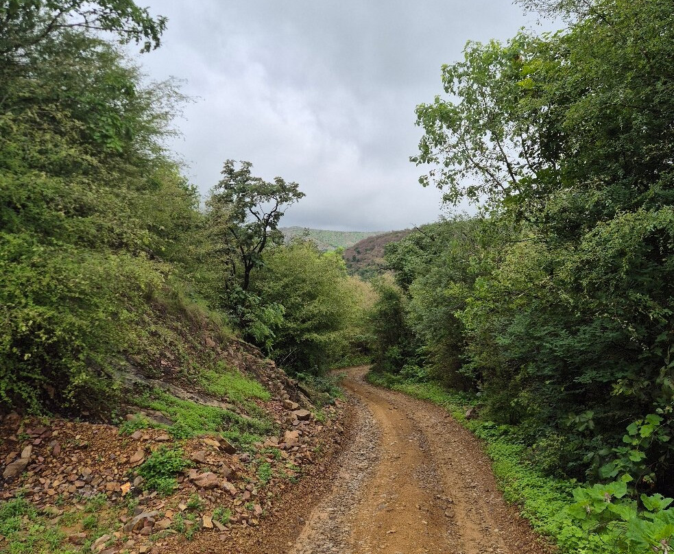 Ranthambore Tiger Safari-瑟瓦伊马托布尔必去景点