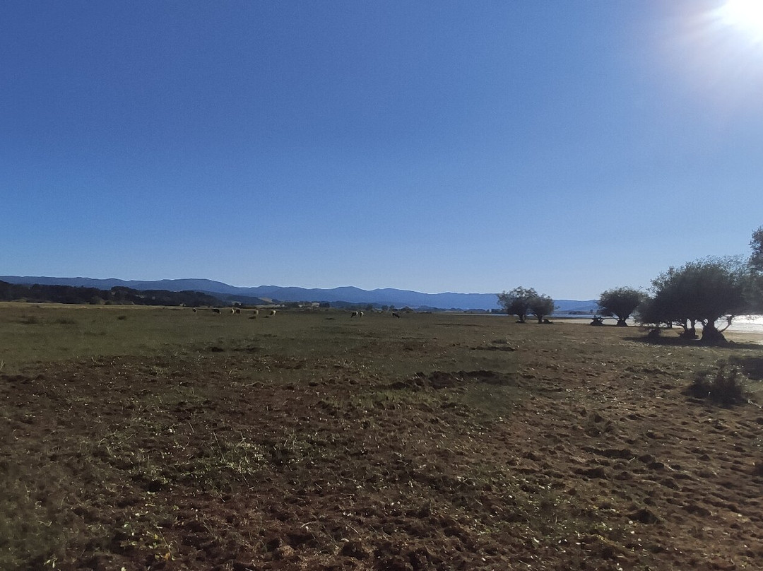 Lago Cecita-Spezzano della Sila必去景点