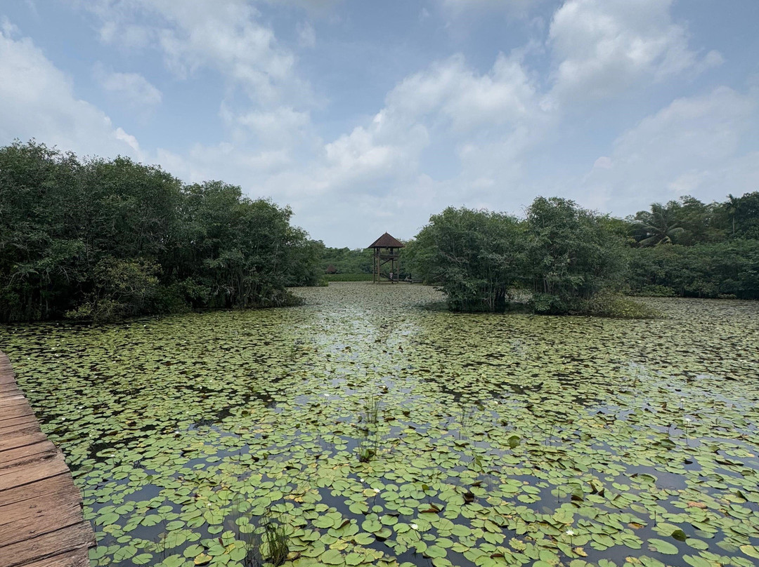 Beddegana Wetland Park-斯里贾亚瓦德纳普拉必去景点