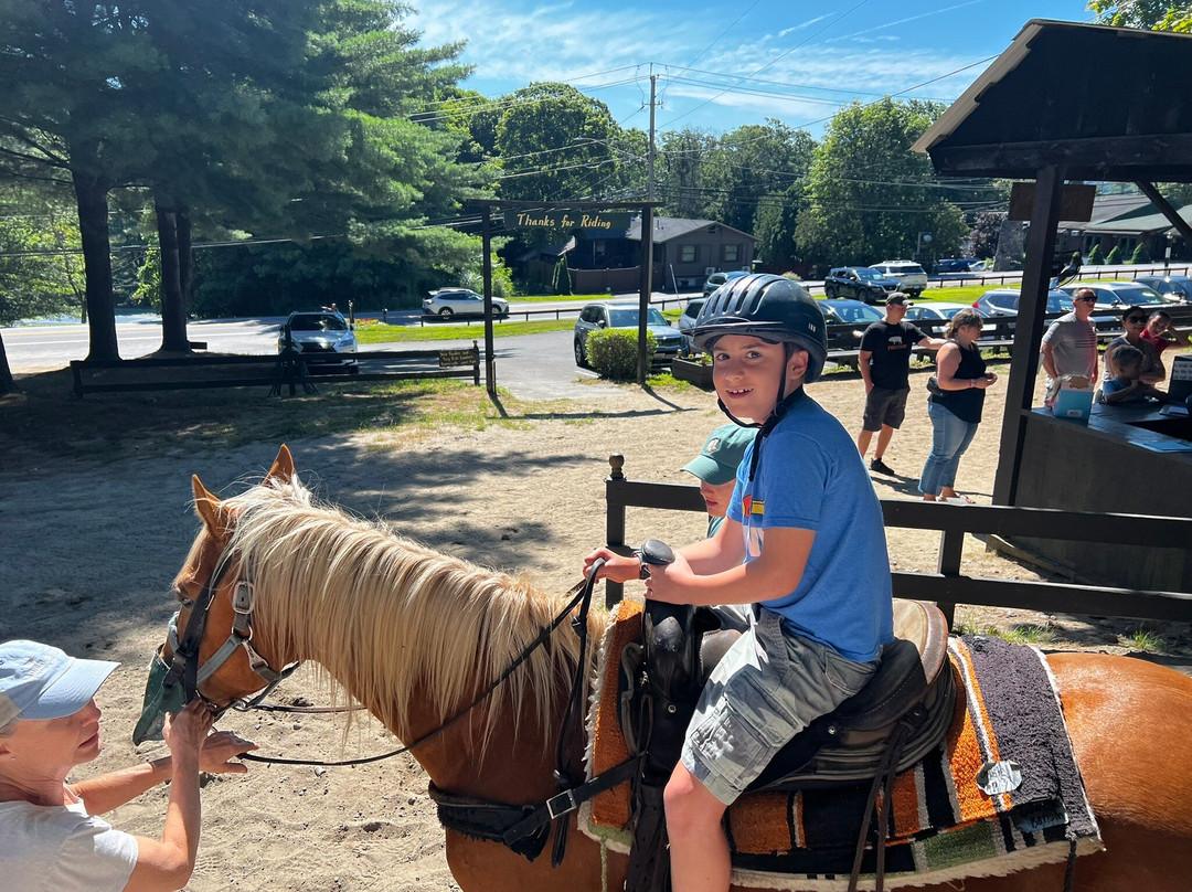 Saddle Up Stables-乔治湖必去景点