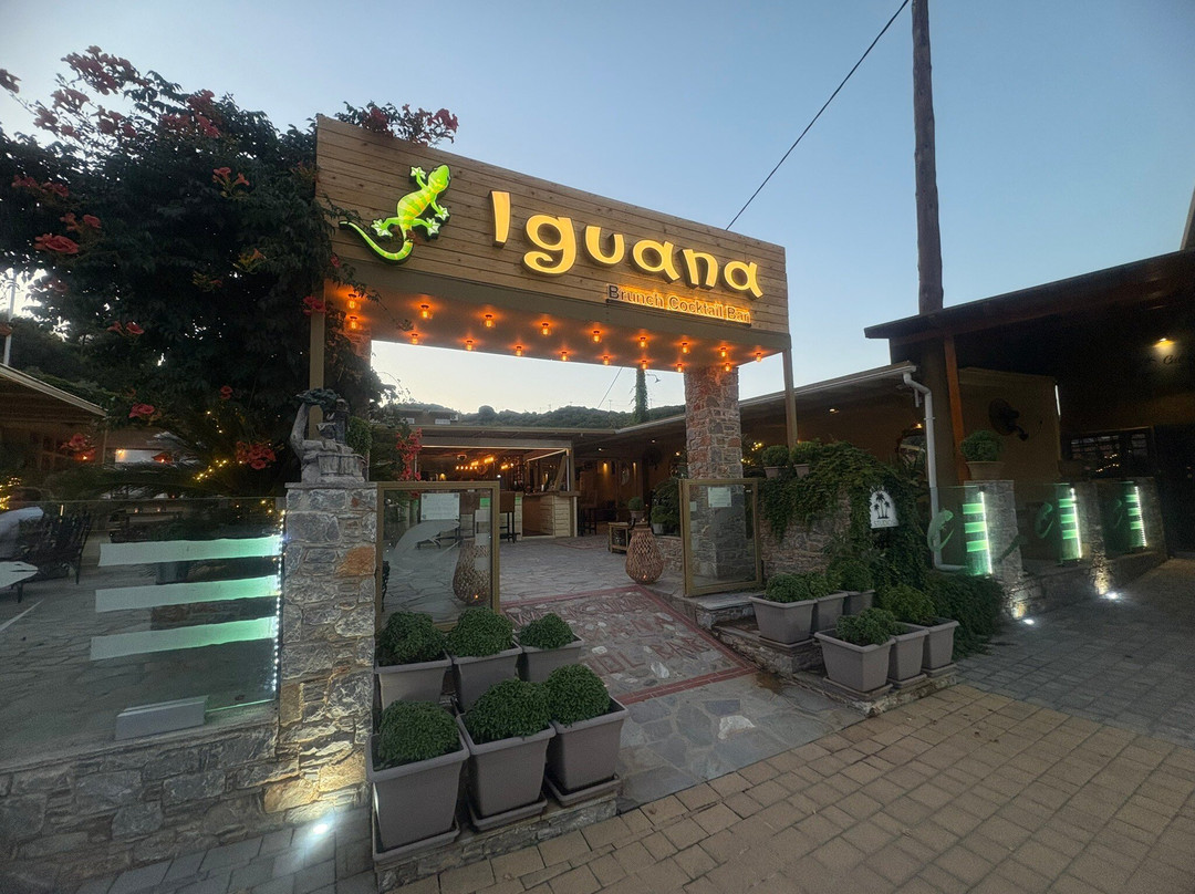 Roulla Studios主图