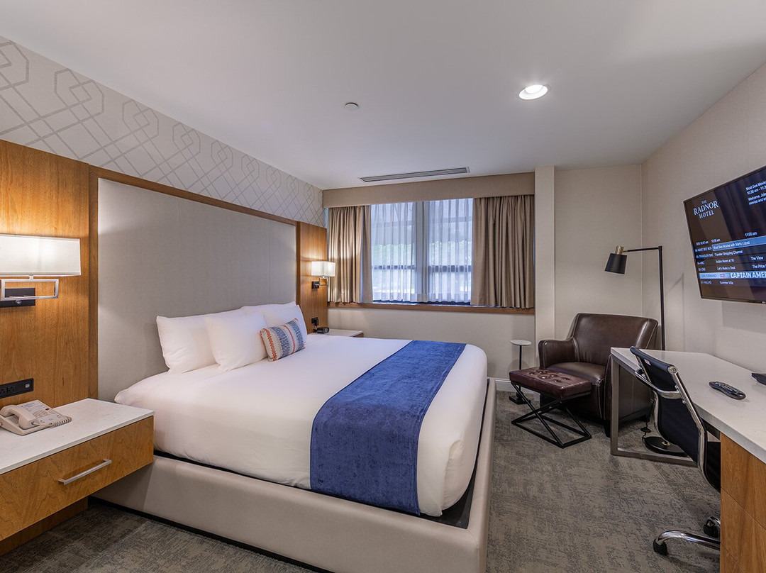 The Radnor Hotel主图