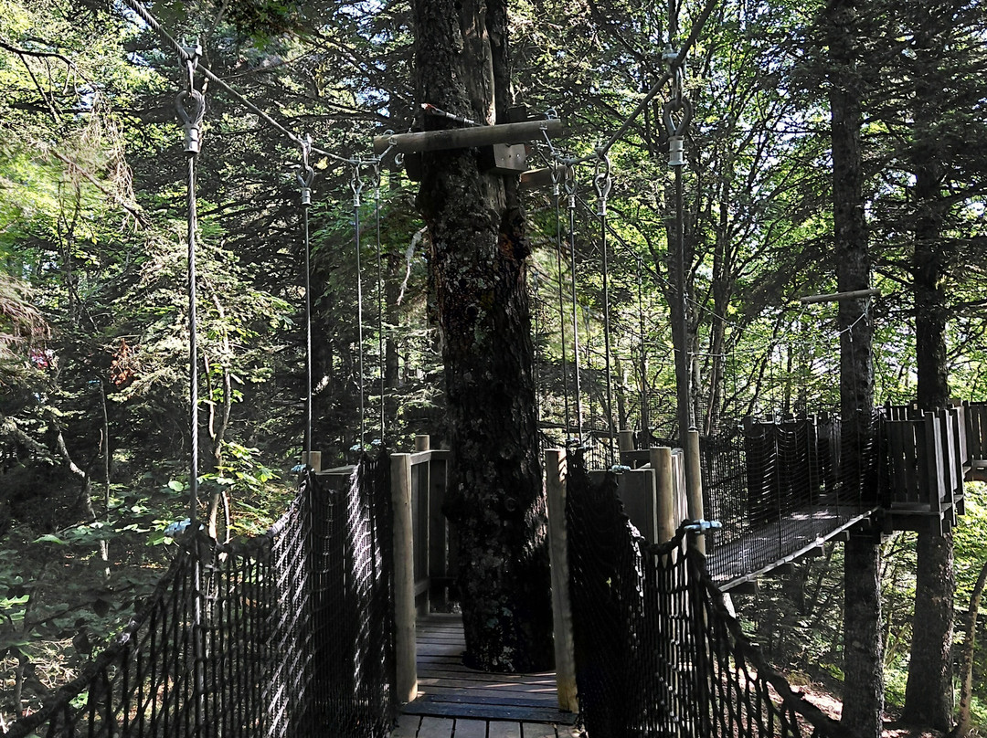 Relais Des Aigles Passerelle