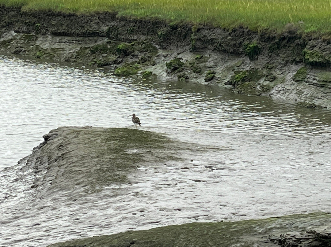 Castle View House Bed and Breakfast主图