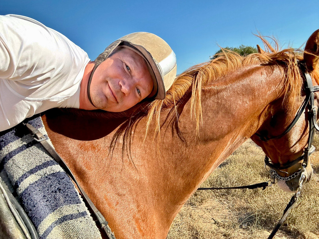 Happy Horses-扎金索斯必去景点