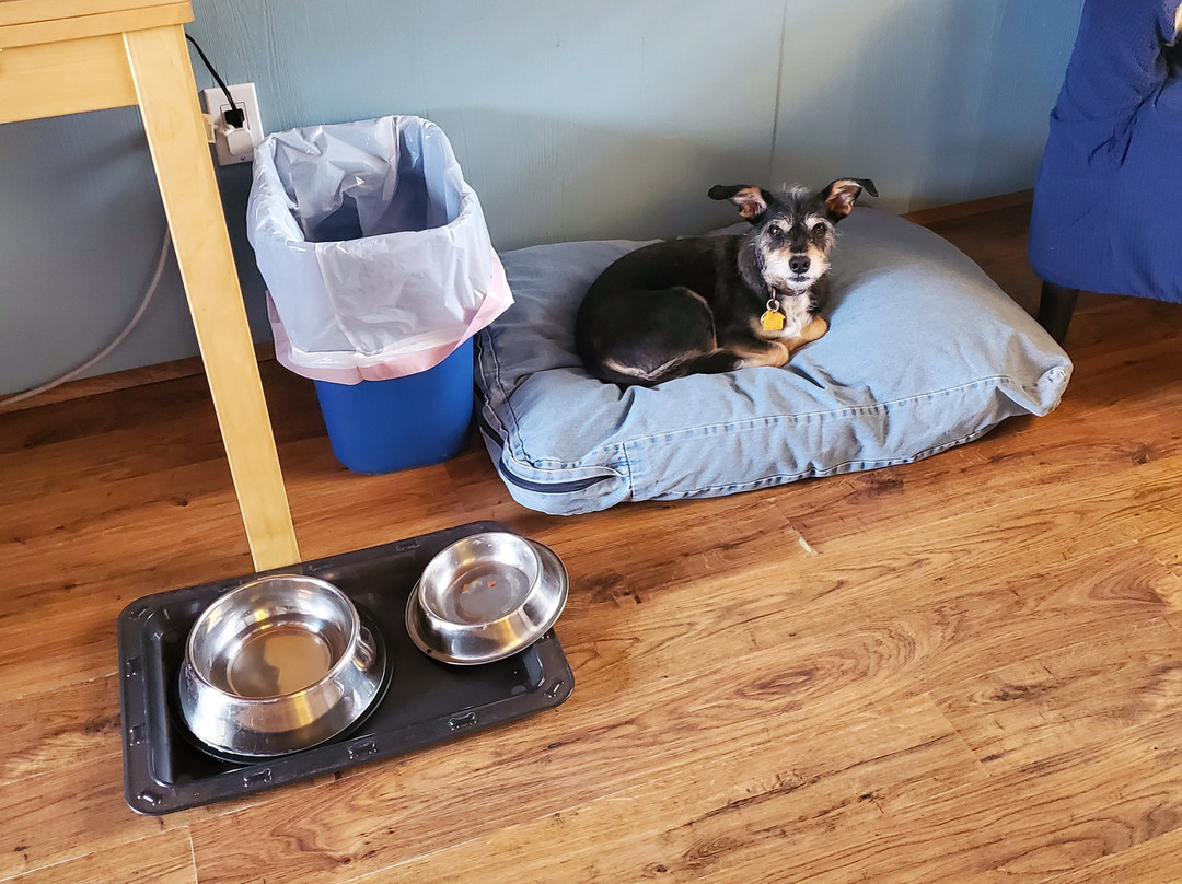 Inn at Schoolhouse Creek主图