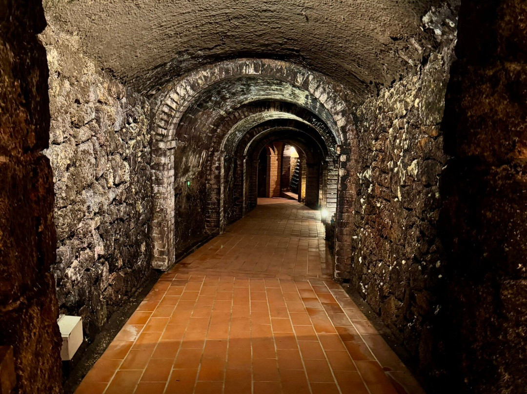 Colle Santa Mustiola-丘西必去景点