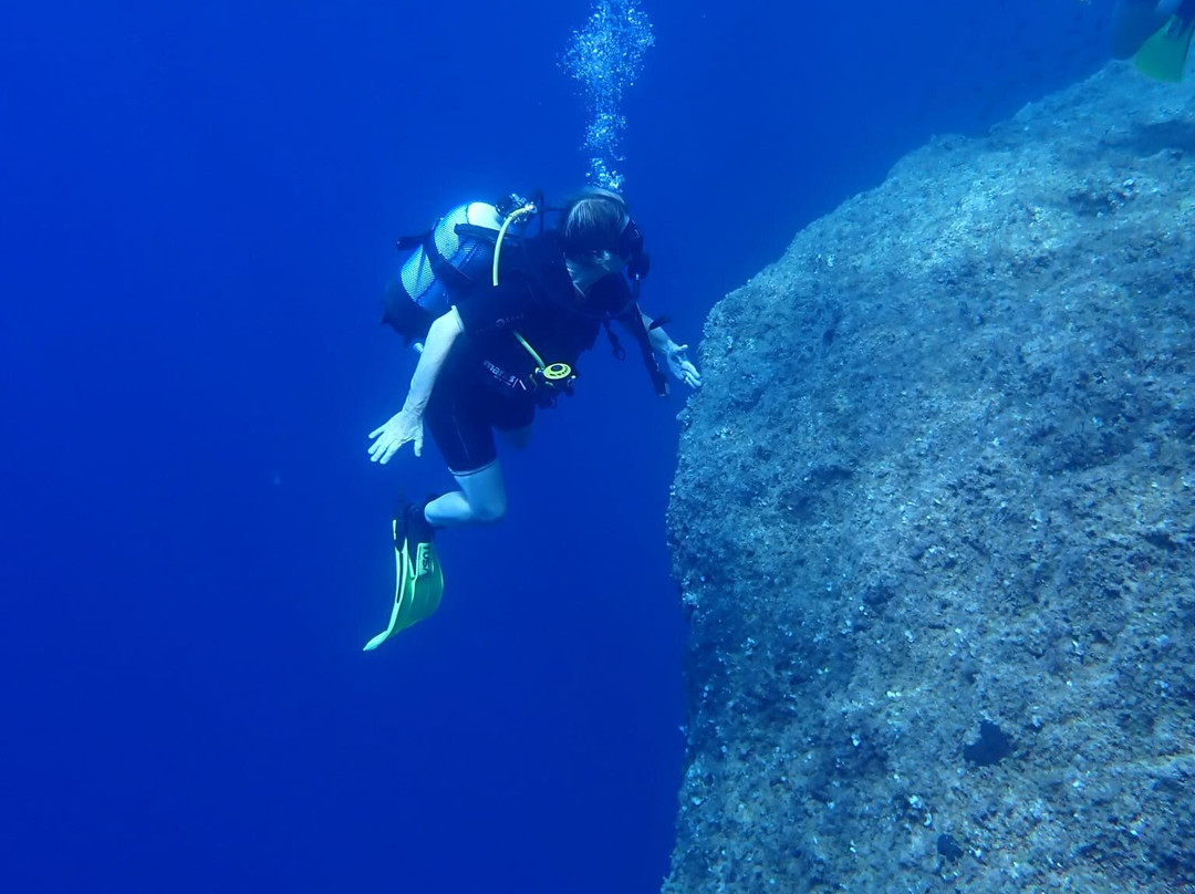 Dwejra Divers-圣劳伦斯必去景点