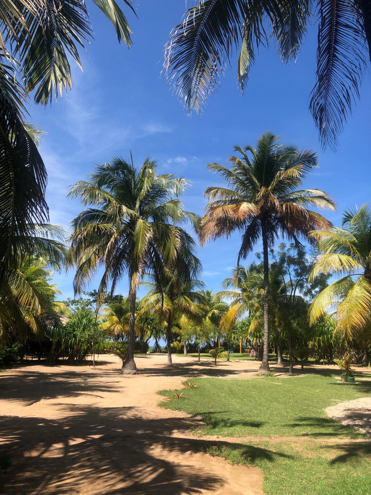 Pousada Origami-浴室