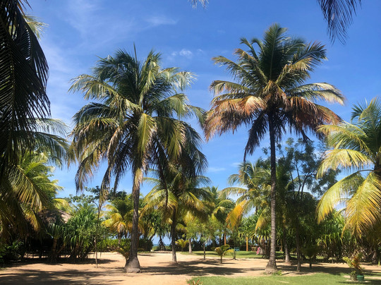 Pousada Origami主图