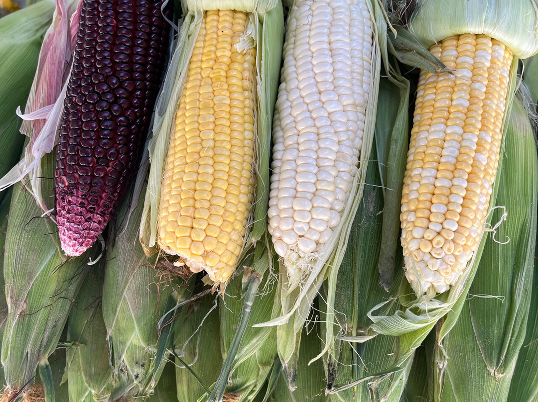 On Tour (M) Sdn Bhd-马六甲必去景点