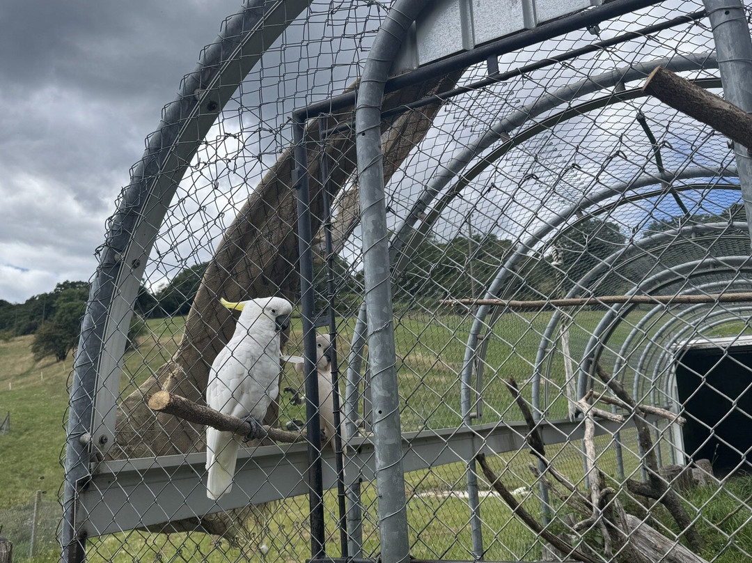 Domaine de Bel-Air-Le Landeron必去景点