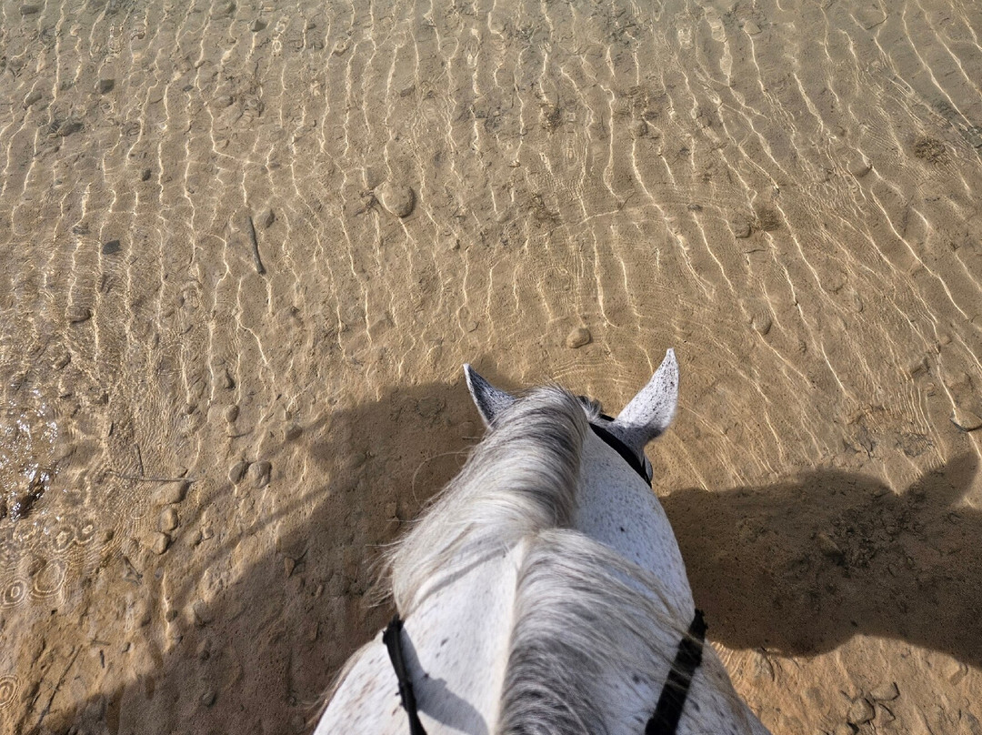 L'écrin Du Lac-弗尔东河畔莱萨莱必去景点