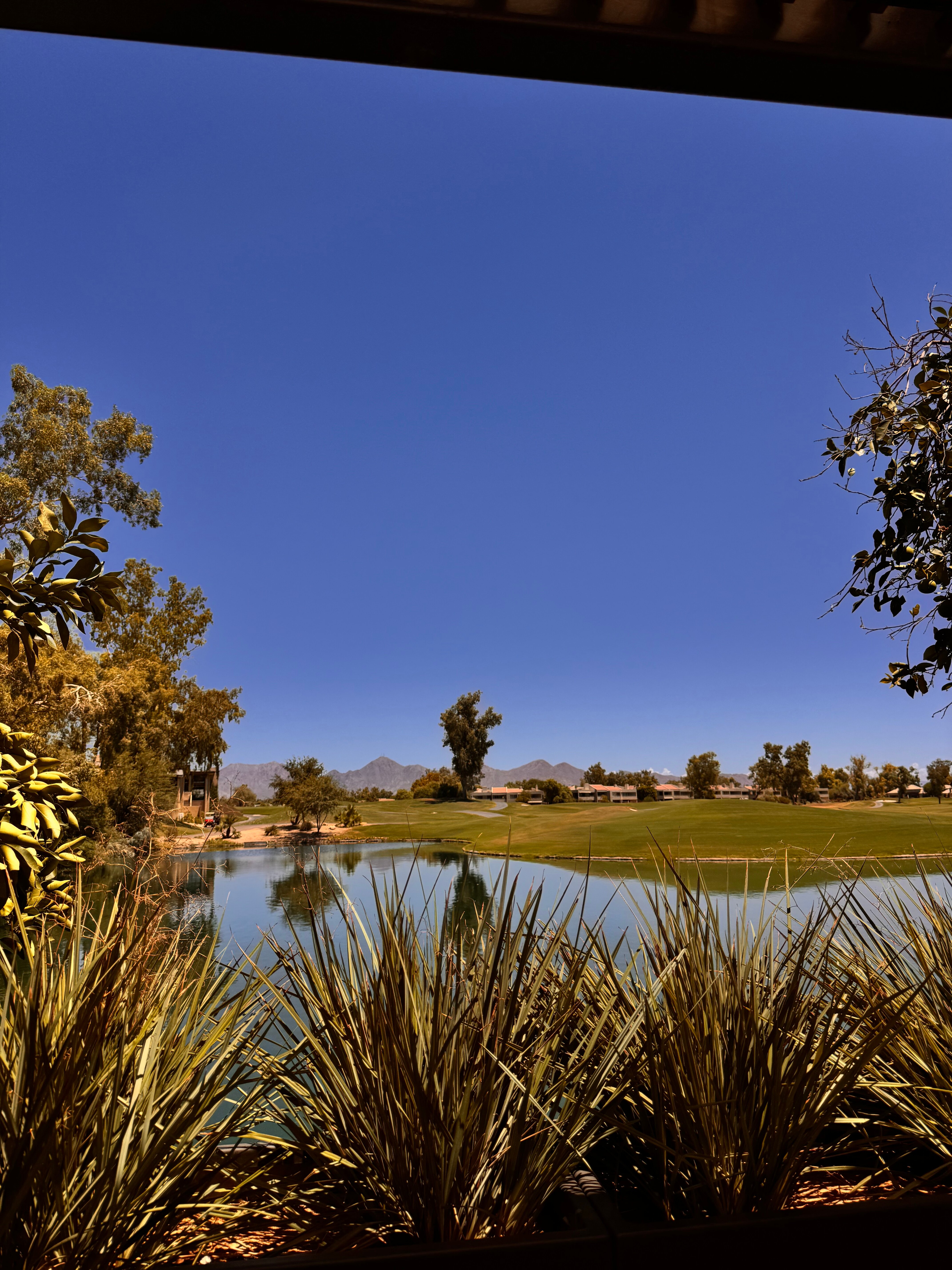Grand Hyatt Scottsdale Resort-官方