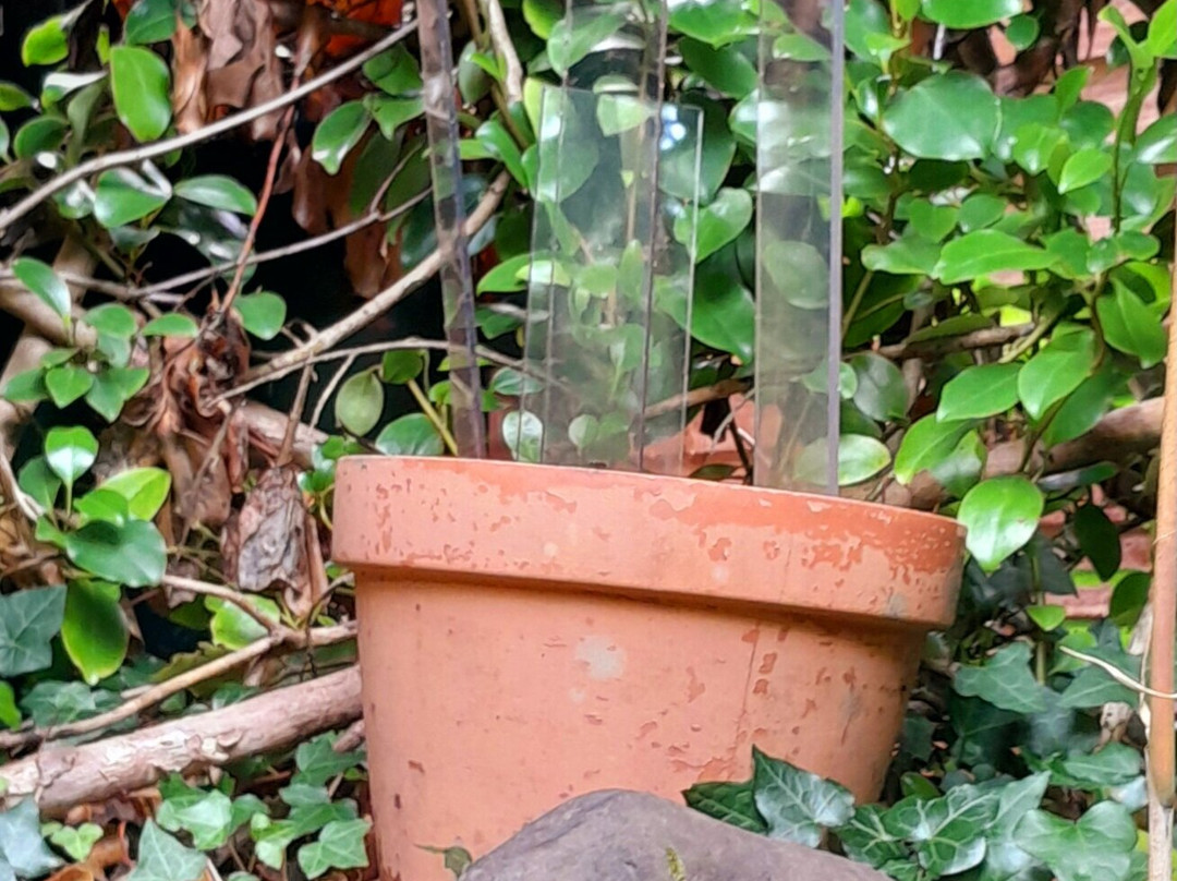 The Ewe Experience-Glengarriff必去景点