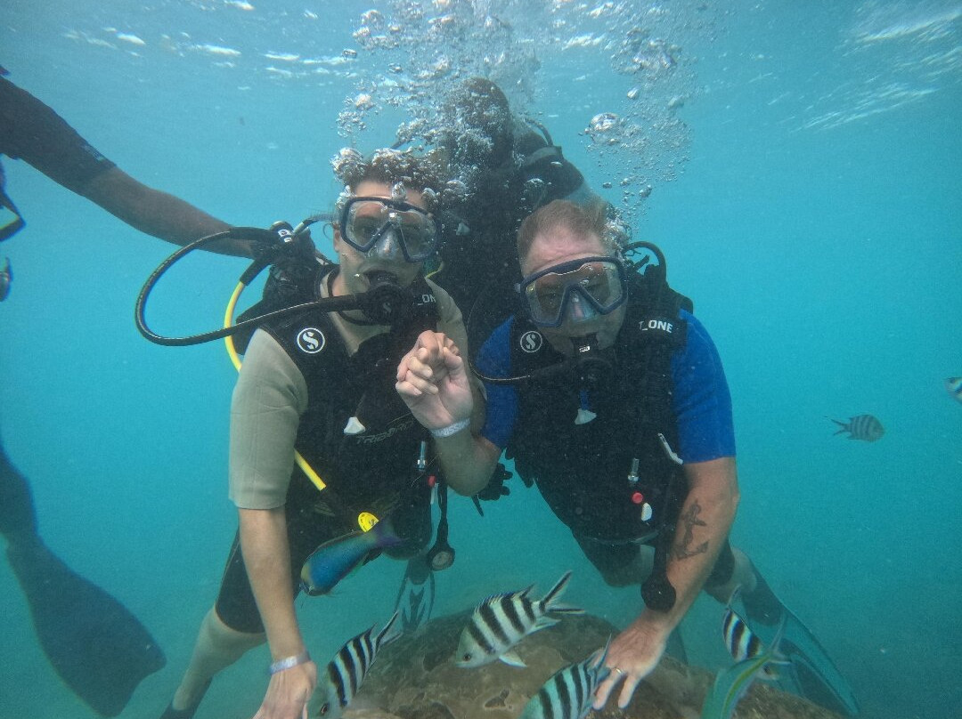 Seaman Diving-大湾必去景点