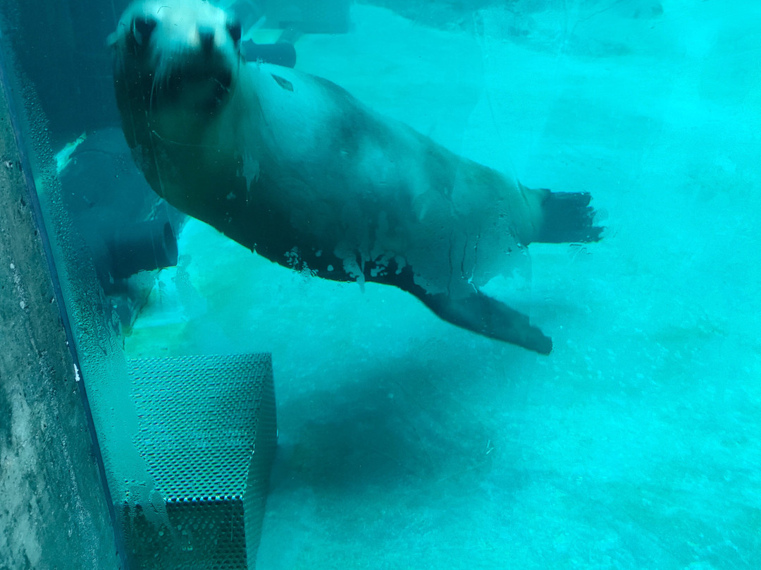 Bergen Aquarium-卑尔根必去景点