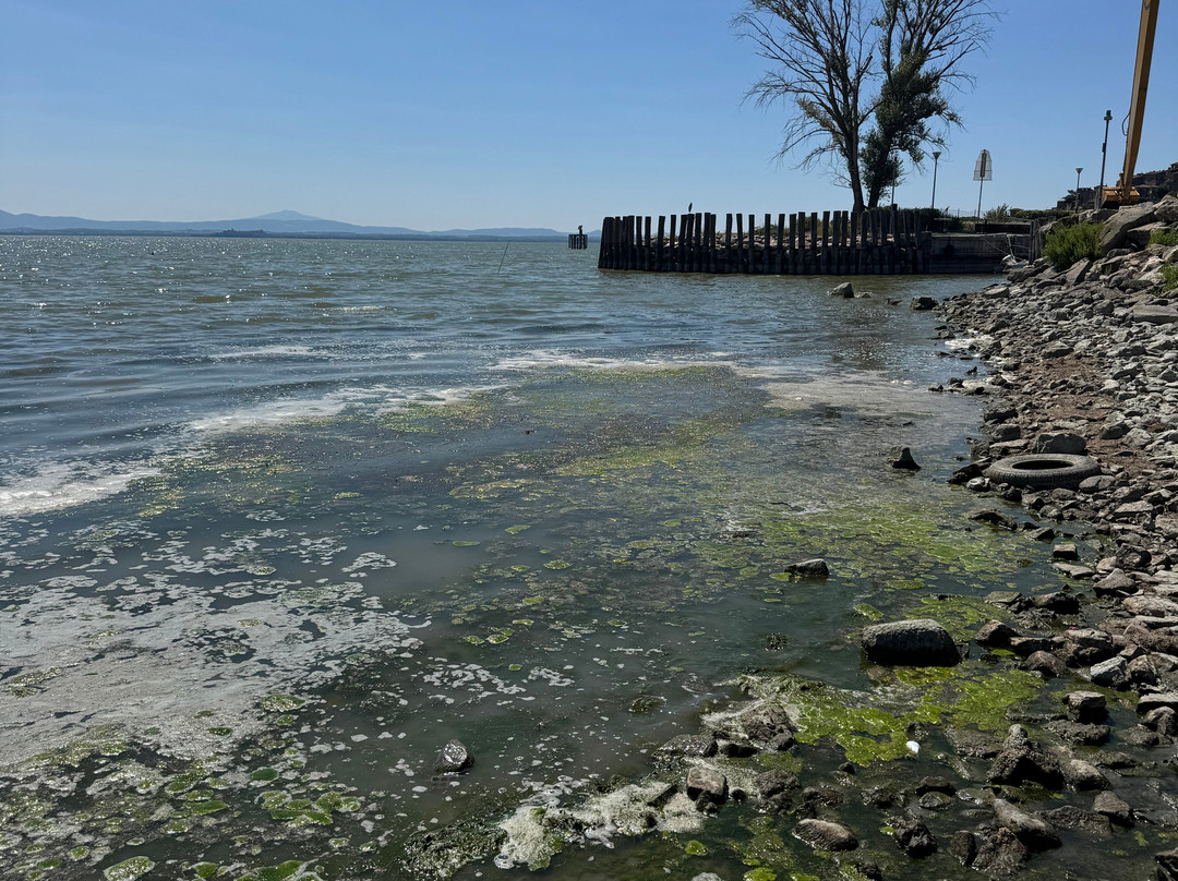 Sualzo Beach-Passignano sul Trasimeno必去景点