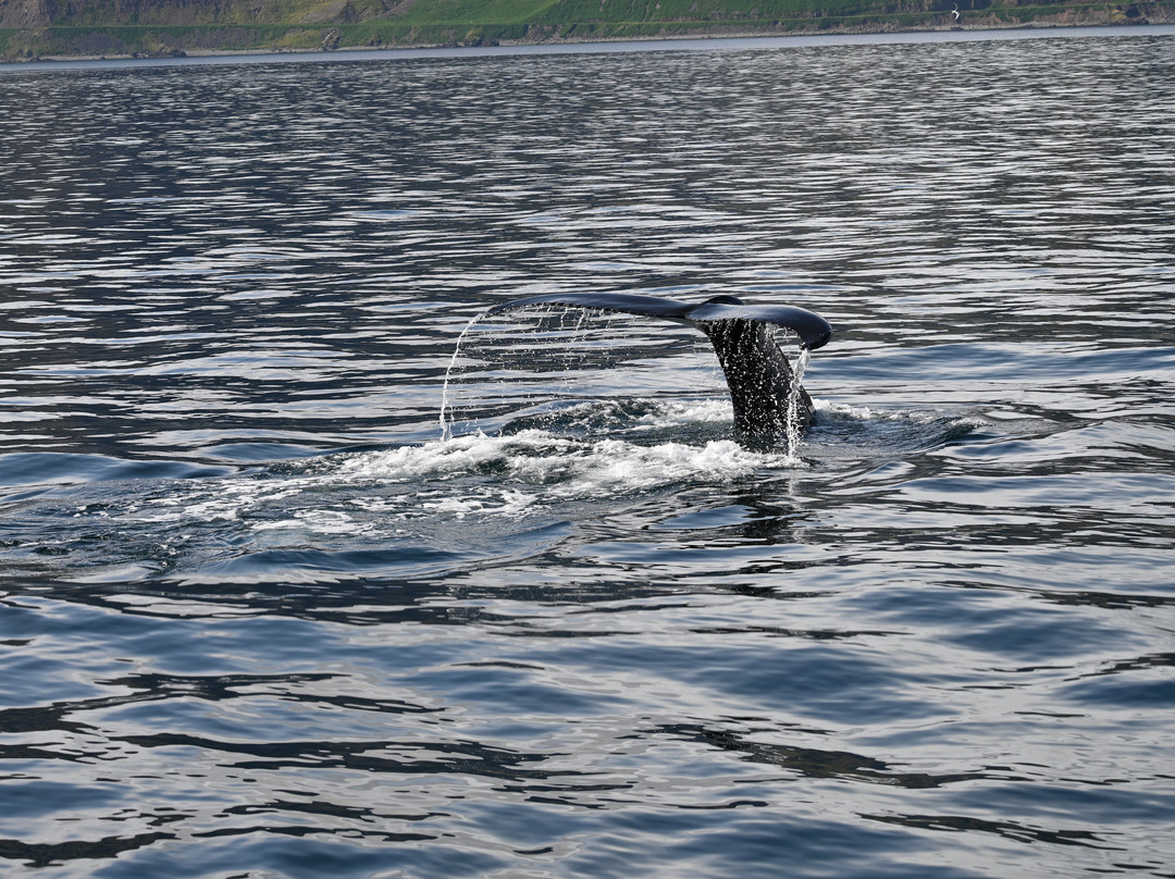 Borea Adventures-伊萨菲厄泽必去景点