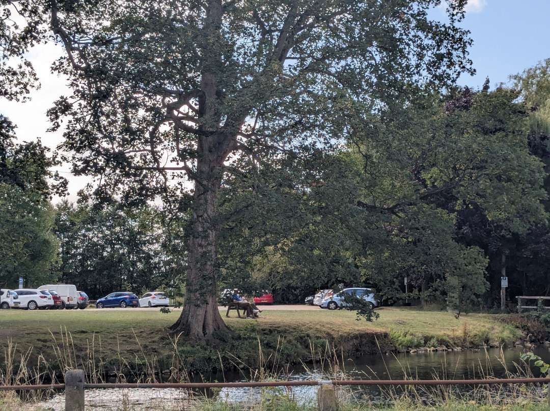 Fitzwarine House主图