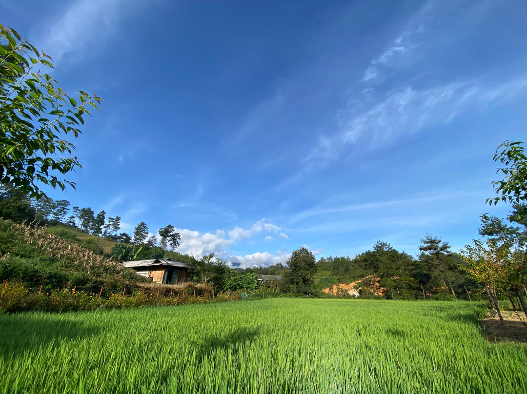 Lapantan Paradise主图