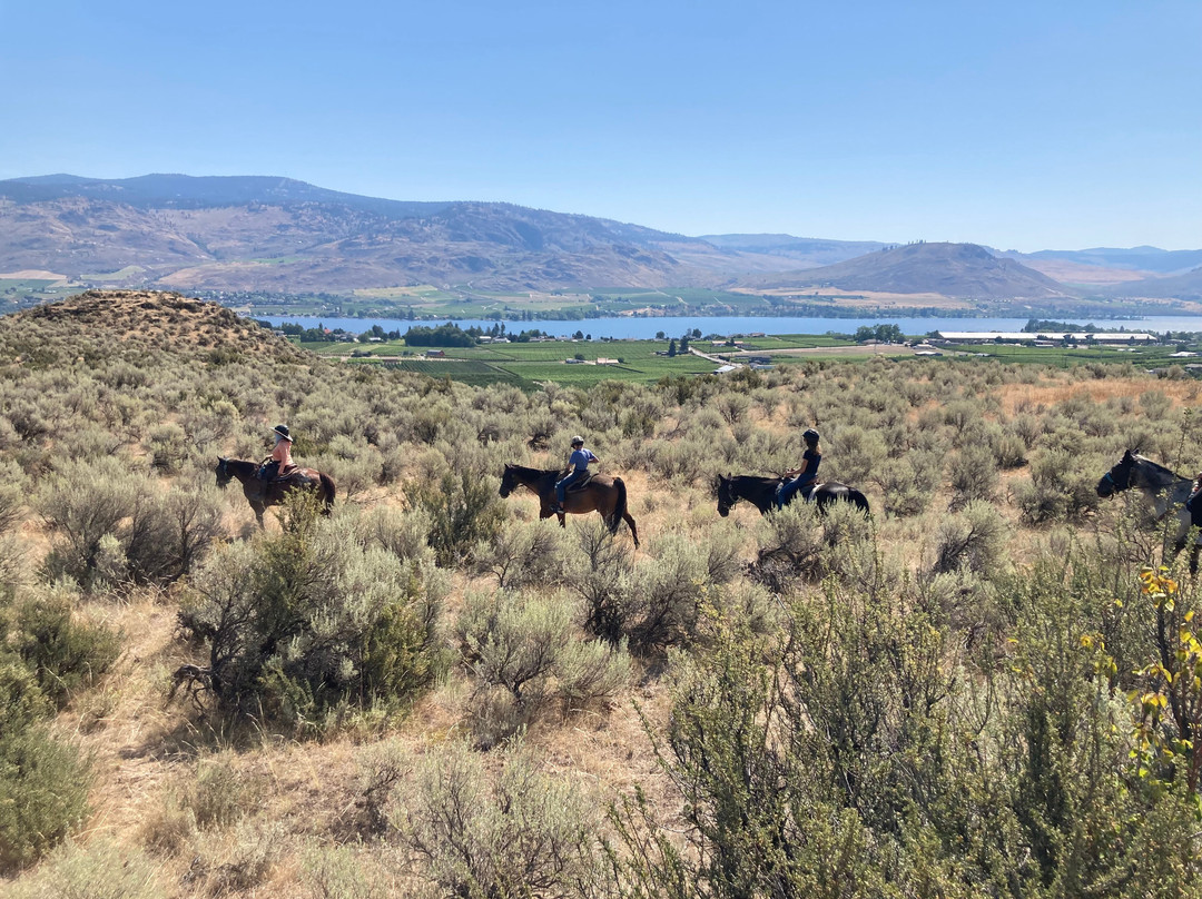Sun Hills Riding Centre-奥索尤斯必去景点