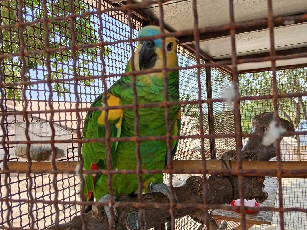 Tenuta Tedone Consolini主图