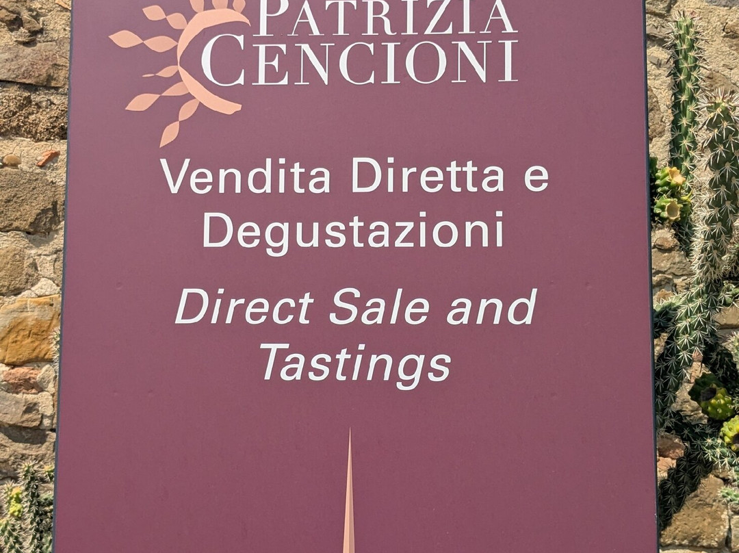 Winery Solaria Patrizia Cencioni-蒙塔尔奇诺必去景点