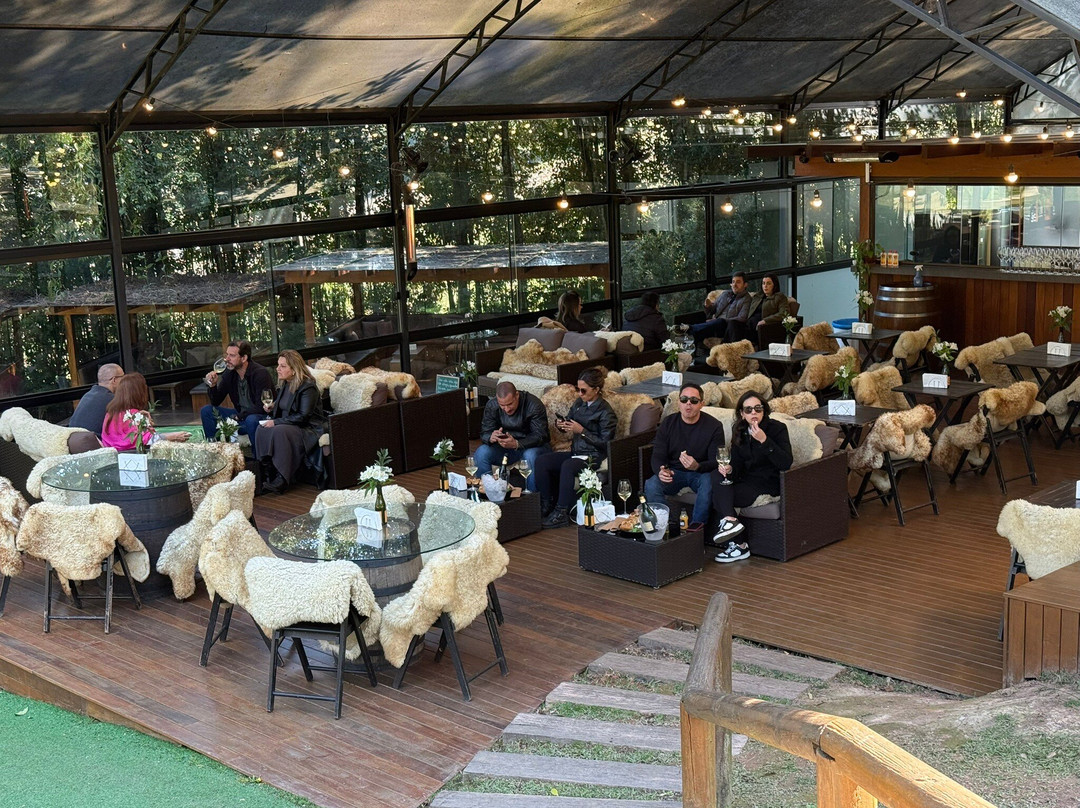 Cave Geisse-Pinto Bandeira必去景点