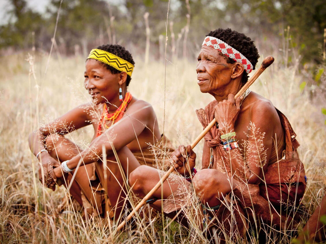 African Safari Guru-开普敦中心区必去景点