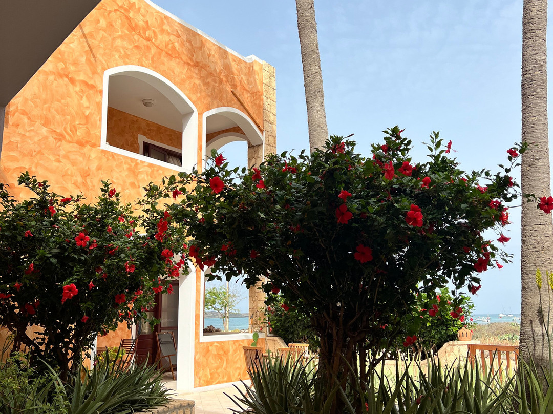 Aparthotel Ca' Nicola主图