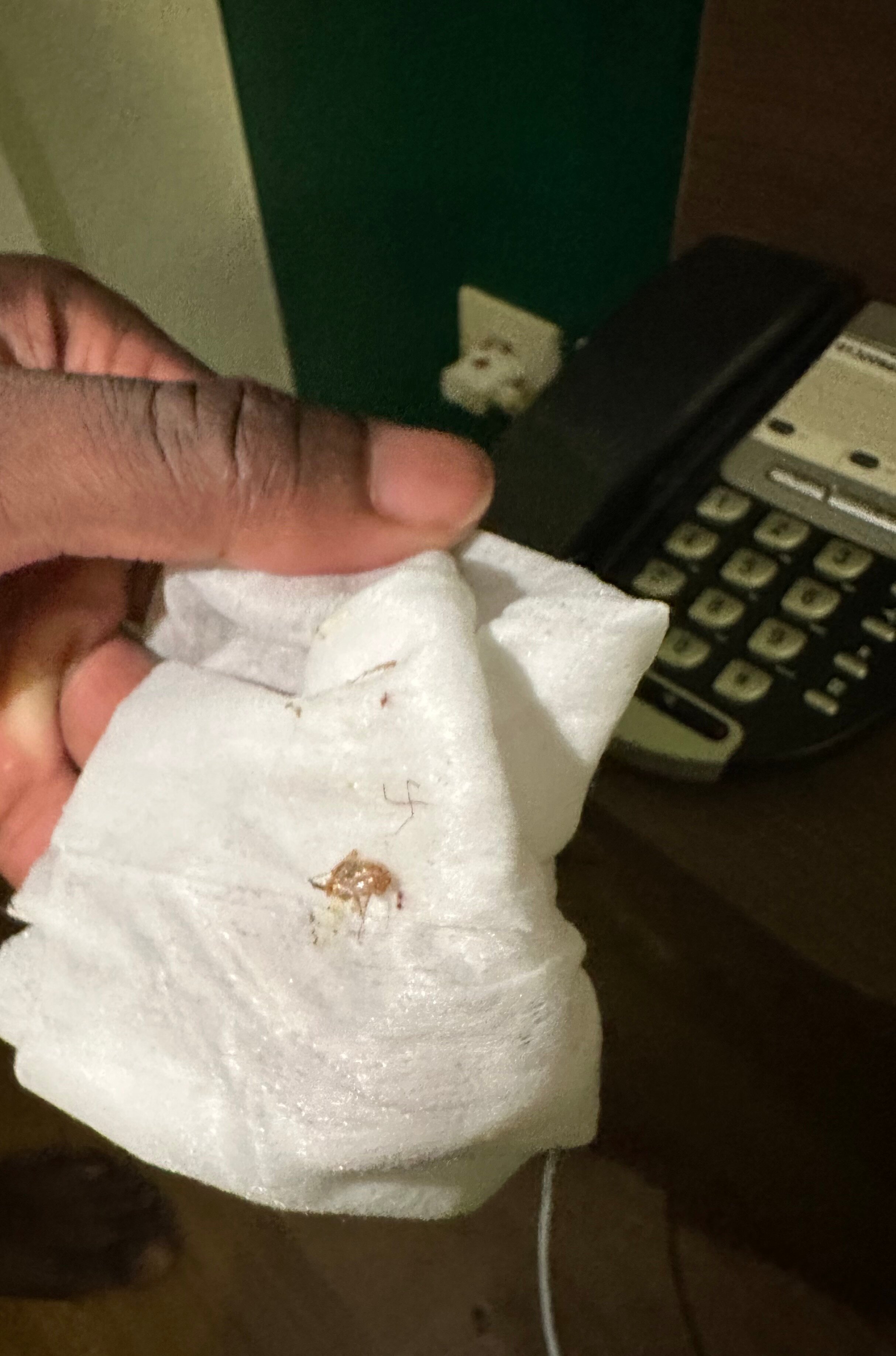 Aparthotel Adagio Access Carrières-sous-Poissy-官方