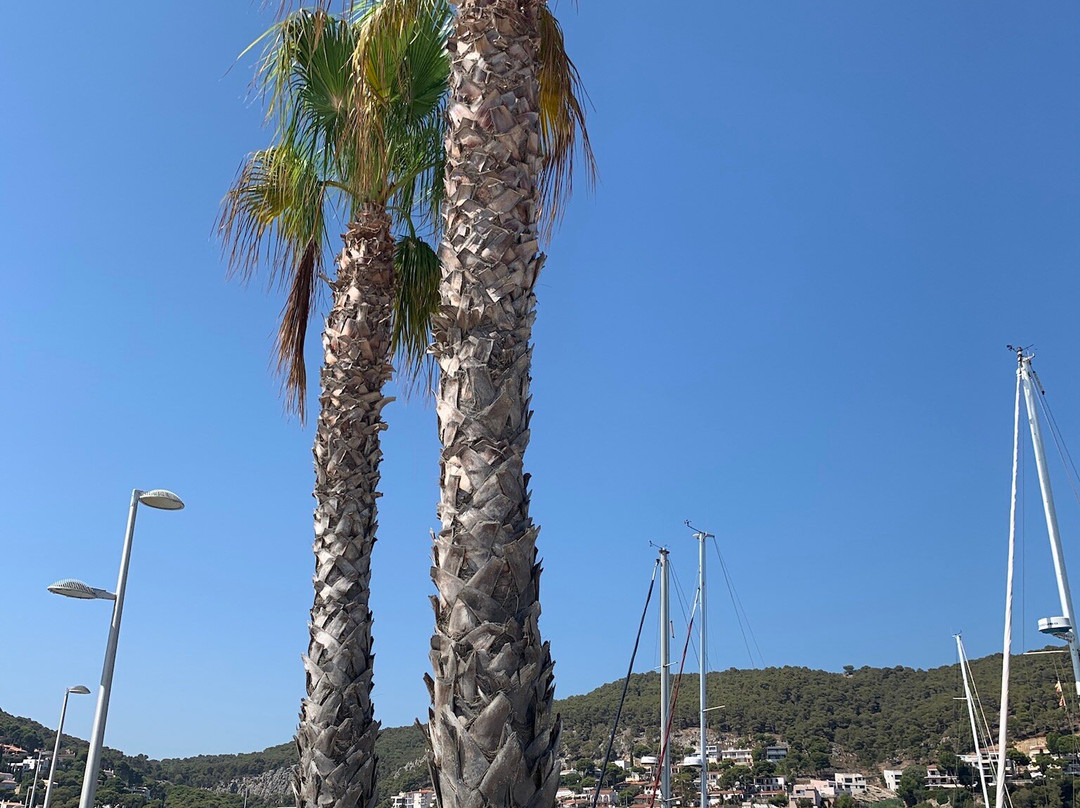 Platja de l'Estartit-L'Estartit必去景点