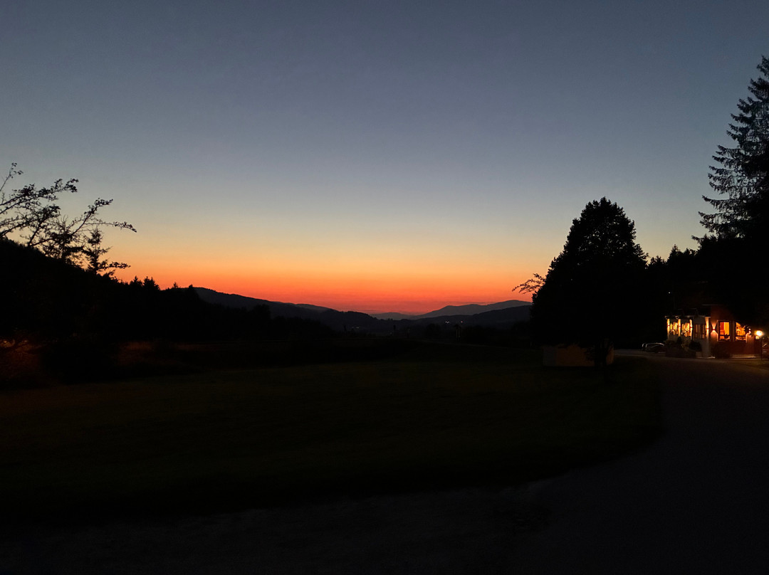 Böhmhof Wellness Und Vitalhotel主图