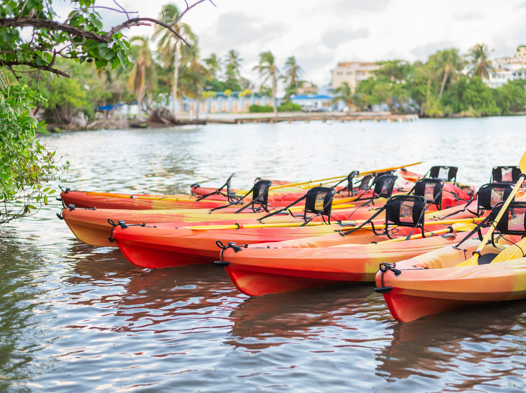 Puerto Rico Bio Bay Tours LLC-法哈多必去景点