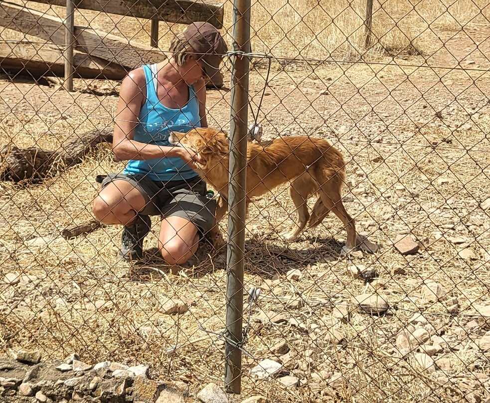 Lobo Park-安特克拉必去景点
