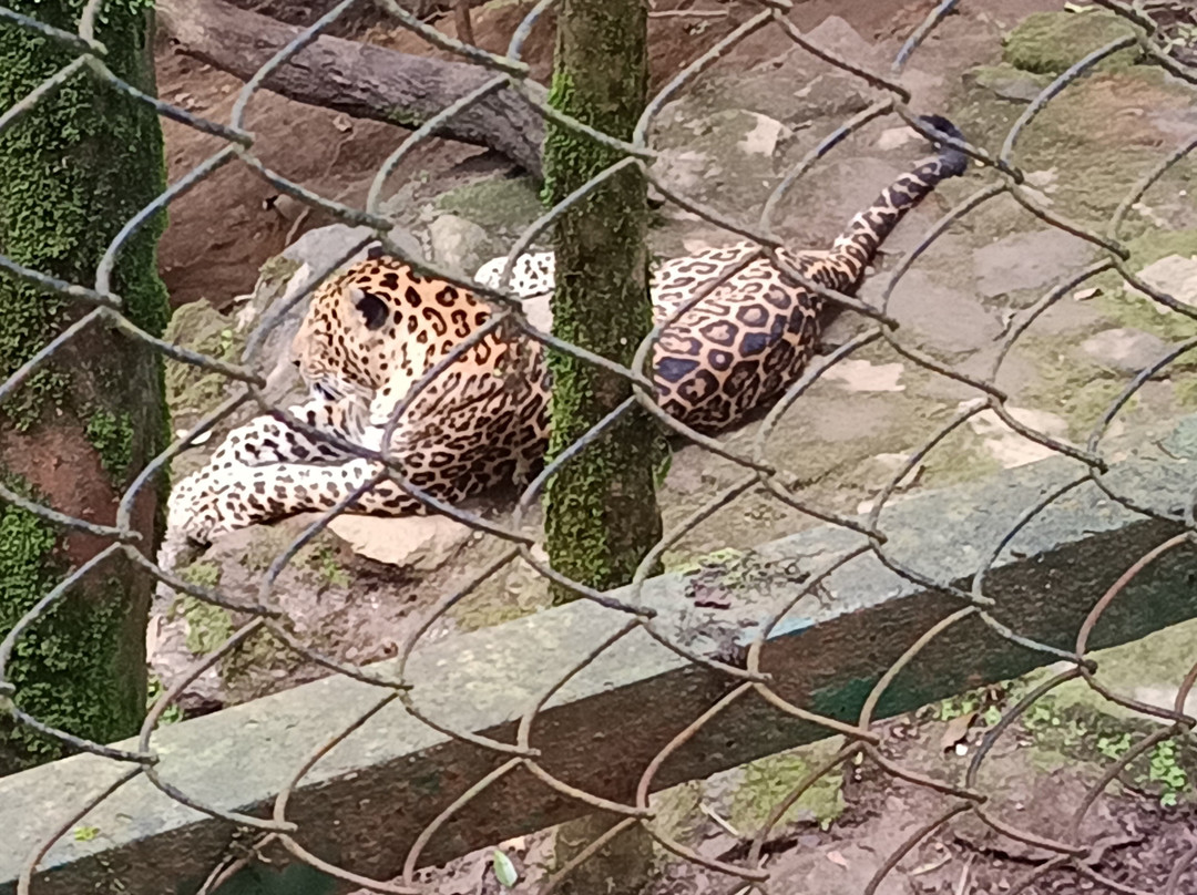 大吉岭辛克莱酒店主图