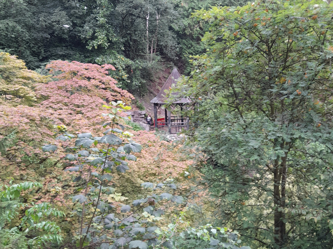 Pittencrieff Park-丹弗姆林必去景点