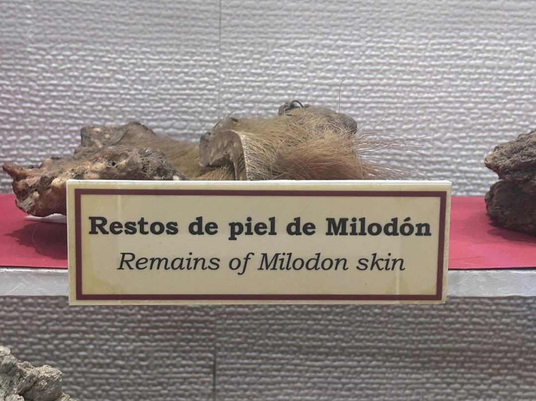 Museo Salesiano / Magiorinno Borgatello-蓬塔阿雷纳斯必去景点